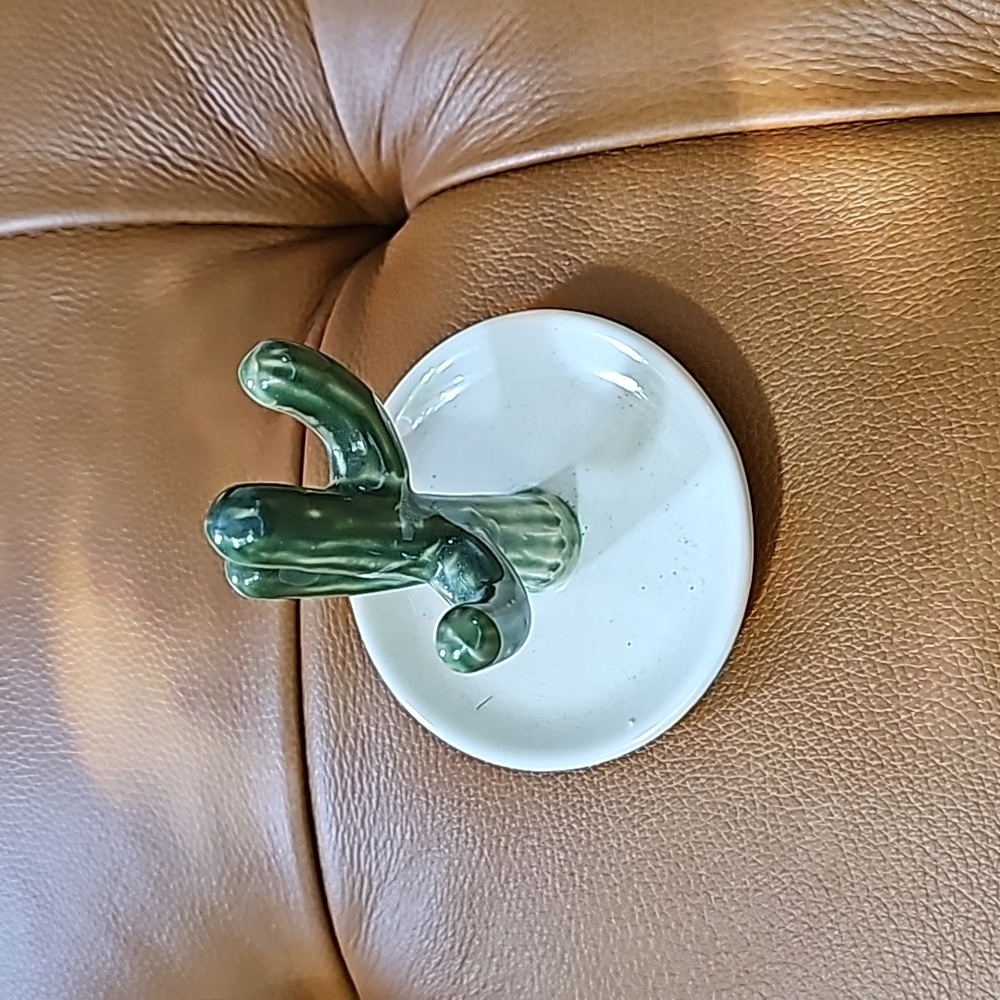 Earthbound cactus jewelry trinket holder ring